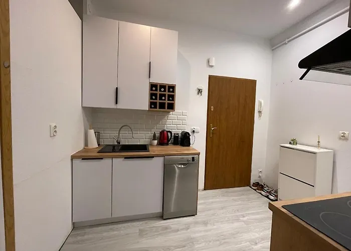 Appartement Tuz Przy Polwiejskiej Poznań